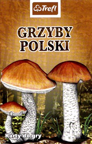 Przyroda Grzyby Polski [KARTY]