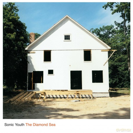 Sonic Youth: The Diamond Sea [Winyl]