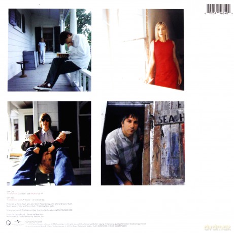 Sonic Youth: The Diamond Sea [Winyl]