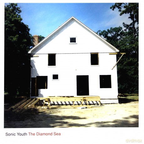 Sonic Youth: The Diamond Sea [Winyl]