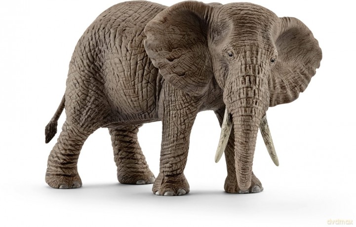 SCHLEICH Samica słonia afrykańskiego [FIGURKA]