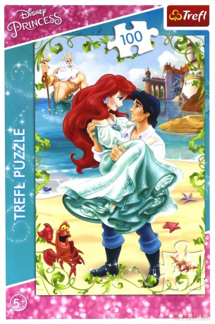 TREFL 100 el. Spotkanie na plaży [PUZZLE]