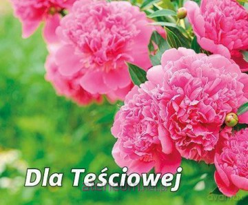 Perełka 269 Dla teściowej [KSIĄŻKA]