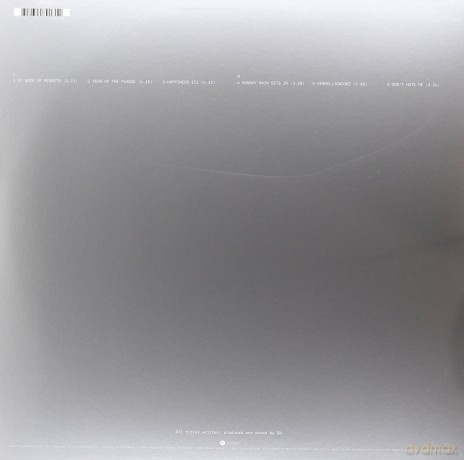 Steven Wilson: 4 1/2 [Winyl]