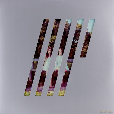 Steven Wilson: 4 1/2 [Winyl]