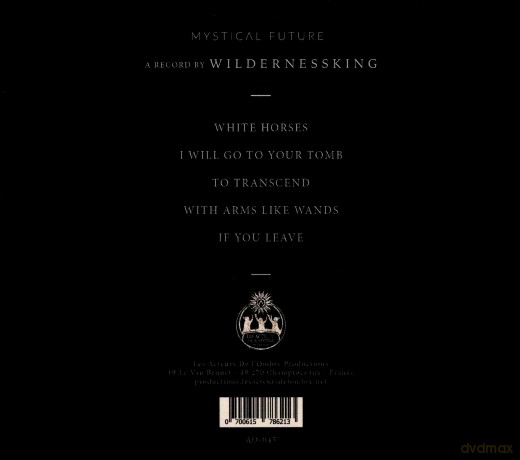 Wildernessking: Mystical Future (digipack) [CD]