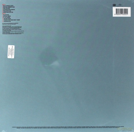 Placebo: Sleeping With Ghosts [Winyl]