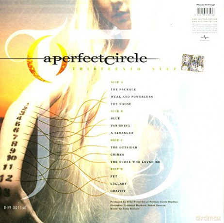 A Perfect Circle: Thirteenth Step [2xWinyl]