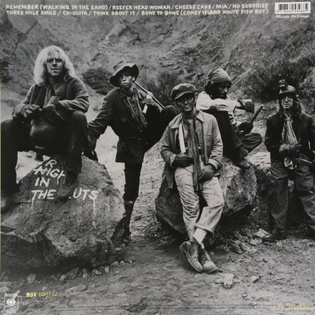Aerosmith: Night In The Ruts [Winyl]