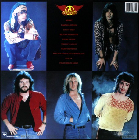 Aerosmith: Rock In A Hard Place [Winyl]
