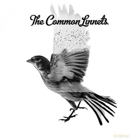 The Common Linnets: Common Linnets [Winyl]