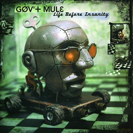 Gov'T Mule: Life Before Insanity [2xWinyl]