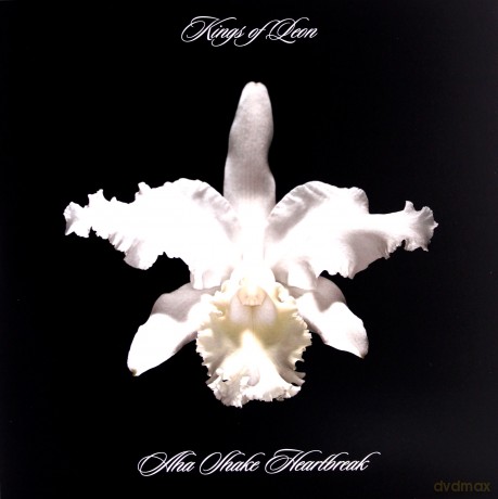Kings Of Leon: Aha Shake Heartbreak [2xWinyl]