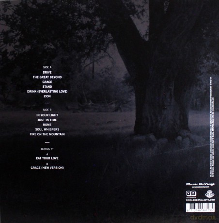 Ed Kowalczyk: Alive [Winyl]