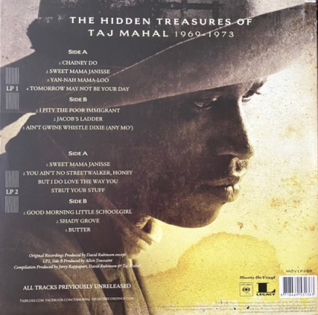 Taj Mahal: Hidden Treasures Of Taj [2xWinyl]