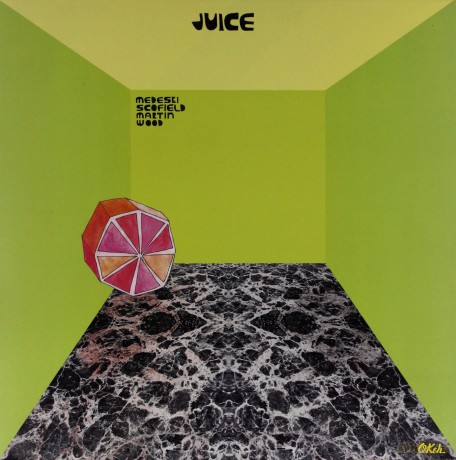 Medeski/Scofield/Martin/W: Juice [2xWinyl]