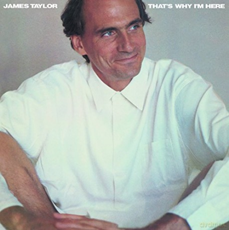 James Taylor: That'S Why I'm Here [Winyl]