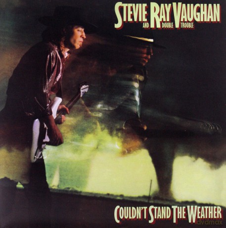 Stevie Ray Vaughan: Couldn'T Stand The [2xWinyl]