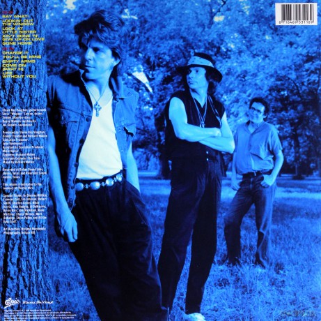 Stevie Ray Vaughan: Soul To Soul [Winyl]