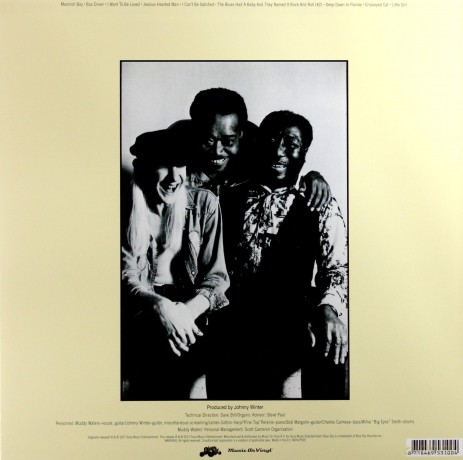 Muddy Waters: Hard Again [Winyl]