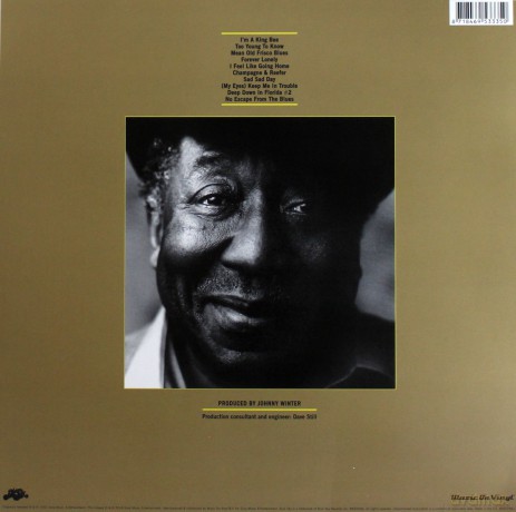 Muddy Waters: King Bee [Winyl]