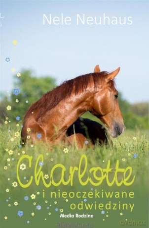 Charlotte i nieoczekiwane odwiedziny - Nele Neuhaus [KSIĄŻKA]