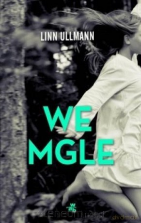 We mgle - Linn Ullmann [KSIĄŻKA]