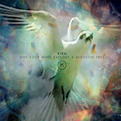 Kira: May Your Mind Explode A Blossom Tree [CD]