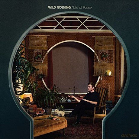 Wild Nothing: Life Of Pause [Winyl]