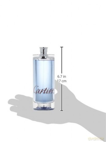 Cartier Eau de Cartier Vetiver Bleu Woda toaletowa Unisex 200ml