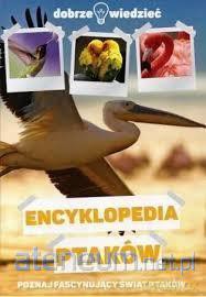Dobrze wiedzieć. Encyklopedia ptaków [KSIĄŻKA]