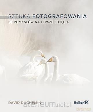 Sztuka fotografowania. 60 pomysłów na lepsze zdjęcia - David duChemin [KSIĄŻKA]