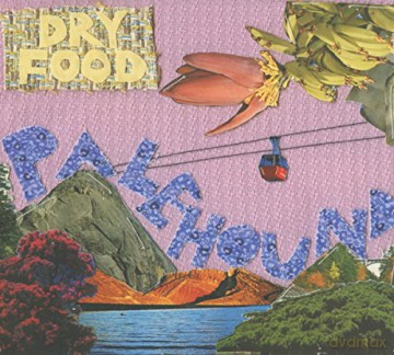 Palehound: Dry Food (digipack) [CD]