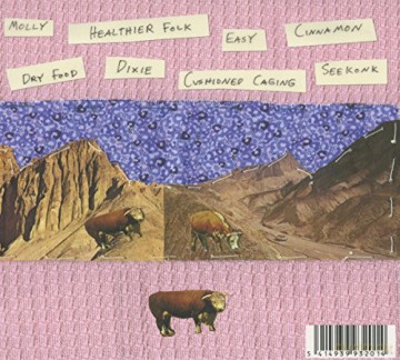 Palehound: Dry Food (digipack) [CD]