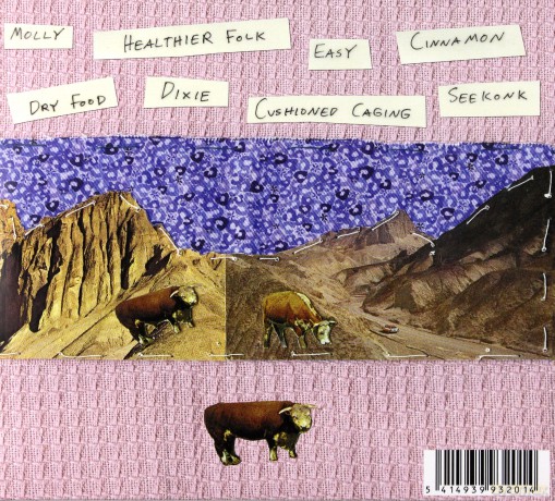 Palehound: Dry Food (digipack) [CD]