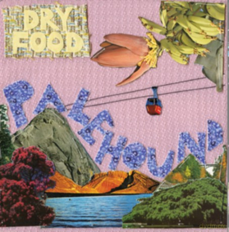 Palehound: Dry Food [Winyl]