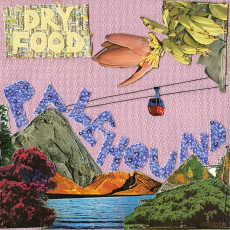 Palehound: Dry Food [Winyl]
