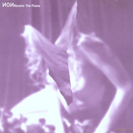 Non: Receive the Flame [CD]