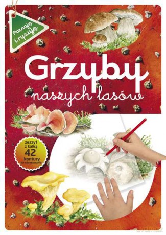 Grzyby naszych lasów poznaję i rysuję - Grażyna Maternicka, Katarzyna Kopiec-Sekieta [KSIĄŻKA]