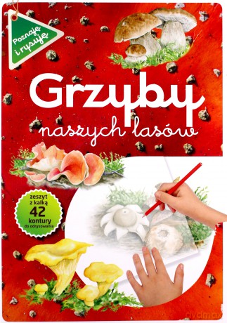 Grzyby naszych lasów poznaję i rysuję - Grażyna Maternicka, Katarzyna Kopiec-Sekieta [KSIĄŻKA]