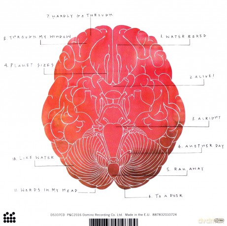 Steve Mason: Meet The Humans [CD]