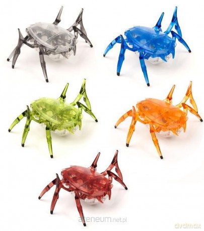 Hexbug Skarabeusz (wysyłka losowa)