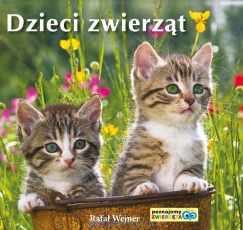 Poznajemy zwierzęta. Dzieci zwierząt - Rafał Wejner [KSIĄŻKA]