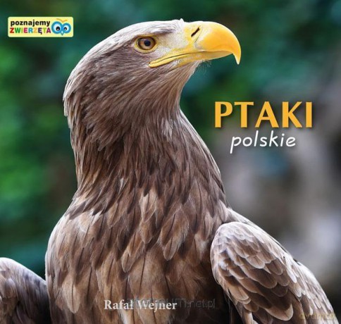 Poznajemy zwierzęta. Ptaki polskie - Rafał Wejner [KSIĄŻKA]