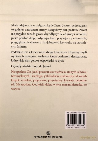 Spotkać Jezusa i zmienić wszystko - Alessandro Pronzato [KSIĄŻKA]