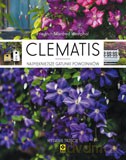 Clematis - Friedrich Manfred Westpal [KSIĄŻKA]