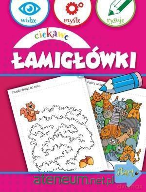Ciekawe łamigłówki [KSIĄŻKA]