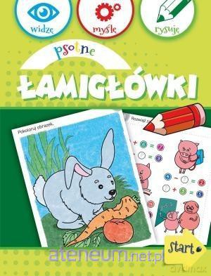 Psotne łamigłówki [KSIĄŻKA]