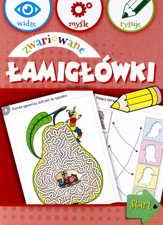 Zwariowane łamigłówki [KSIĄŻKA]