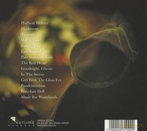 Ossicles: Music For Wastelands (digipack) [CD]